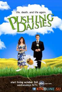 Мертвые до востребования (сериал 2007 – 2009) / Pushing Daisies [2007 (2 сезона)] смотреть онлайн