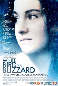     / White Bird in a Blizzard [2014]  