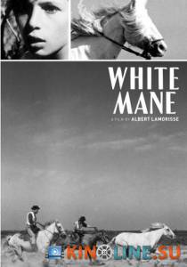 Белая грива: Дикая лошадь  / Crin blanc: Le cheval sauvage [1953] смотреть онлайн