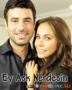  ,  () / Ey ask nerdesin [2009 (1 )]  