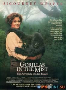 Гориллы в тумане  / Gorillas in the Mist: The Story of Dian Fossey [1988] смотреть онлайн