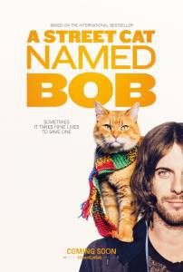      / A Street Cat Named Bob [2016]  