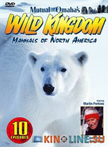 Царство животных (сериал 2002 – 2011) / Mutual of Omaha's Wild Kingdom [2002 (9 сезонов)] смотреть онлайн