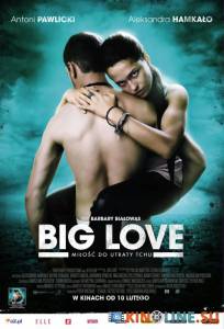   / Big Love [2012]  