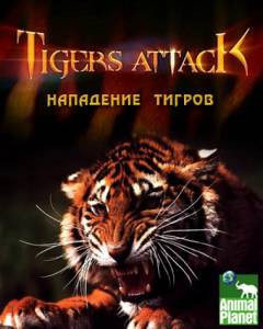   () / Tigers Attack [2007]  