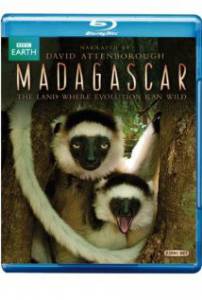 Мадагаскар  (мини-сериал) / Madagascar [2011 (1 сезон)] смотреть онлайн