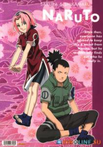 Наруто  (сериал 2002 – 2007) / Naruto [2002 (1 сезон)] смотреть онлайн