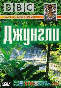 BBC: Джунгли  (сериал) / Jungle [2003 (1 сезон)] смотреть онлайн