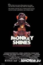- / Monkey Shines [1988]  