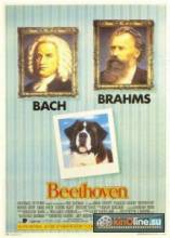 Бетховен / Beethoven [1992] смотреть онлайн