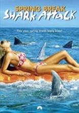  2006   / Spring Break Shark Attack [2006]  