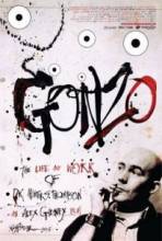 :      .  / Gonzo: The Life and Work of Dr. Hunter S. Thompson [2008]  