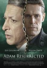   / Adam Resurrected [2008]  