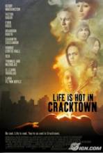     / Life Is Hot in Cracktown [2009]  