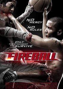   /  / Fireball [2009]  