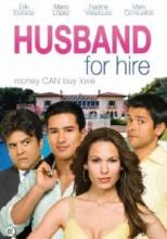 Муж на прокат / Husband for Hire [2008] смотреть онлайн