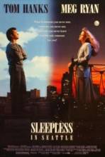    / Sleepless in Seattle [1993]  