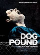    /   / Dog Pound [2010]  