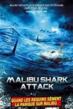 Акулы Малибу / Malibu Shark Attack [2009] смотреть онлайн