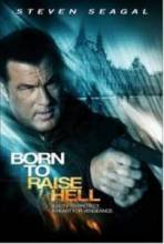   / Born to Raise Hell [2010]  