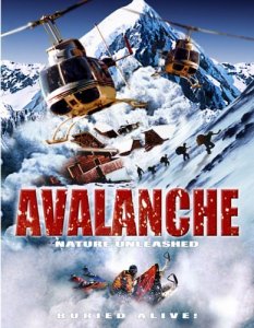  ( ) / Nature Unleashed: Avalanche [2004]  