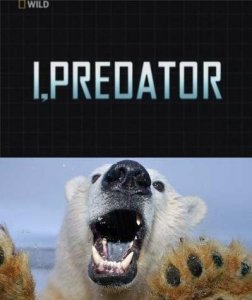  :   / I, Predator: Polar Bear [2010]  