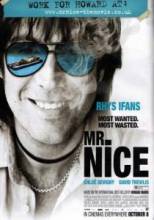 Славный малый / Mr. Nice [2010]