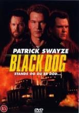   / Black Dog [1998]  
