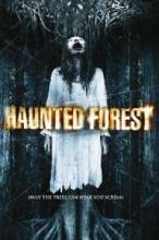   / Haunted Forest [2007]  