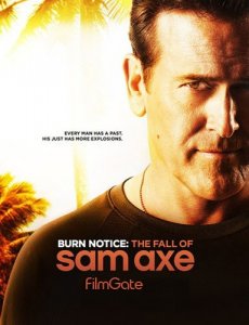  :    ( :   ) / Burn Notice: The Fall of Sam Axe [2011]  