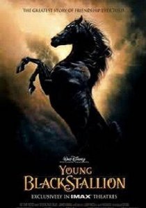    / The Young Black Stallion [2003]  