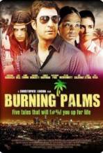 Горящие пальмы / Пять историй безумия / Burning Palms [2010] смотреть онлайн