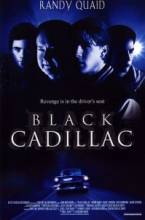   / Black Cadillac [2003]  