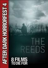  / The Reeds [2009]  
