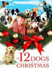 12   / The 12 Dogs of Christmas [2005]  