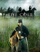  / The Colt [2005]  