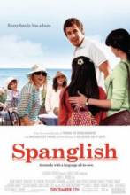 Испанский-английский / Spanglish [2004] смотреть онлайн