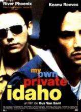     / My Own Private Idaho [1991]  