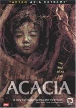  / Acacia [2003]  