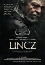  / Lincz [2010]  