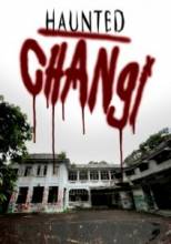    / Haunted Changi [2010]  