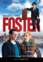  / Foster [2011]  