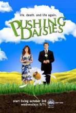    / Pushing Daisies [2007]  