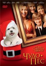Чудо-пёс / My Dog's Christmas Miracle [2011] смотреть онлайн